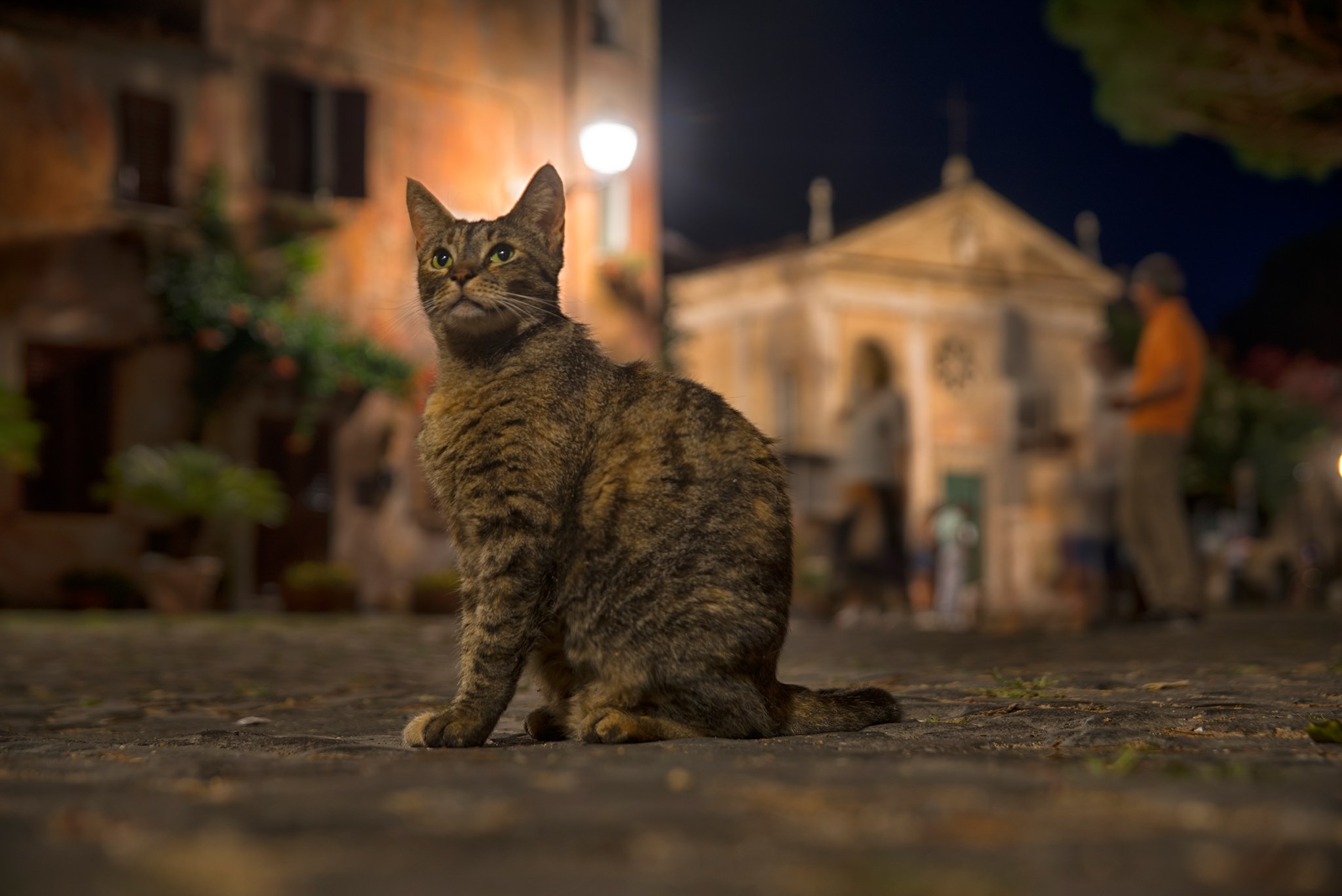 Che cosa chiamiamo davvero natura?